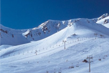 BOÍ TAÜLL