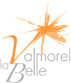 Logo estación esquí