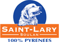 Logo estación esquí