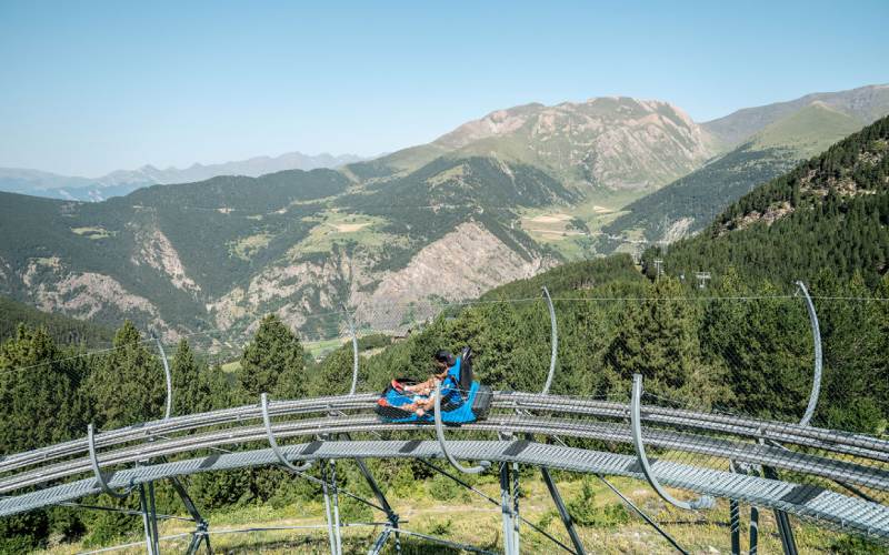 mont magic