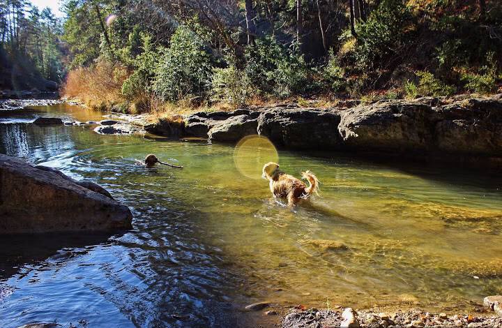 Piscinas naturales Cataluña: Riera de Merlés