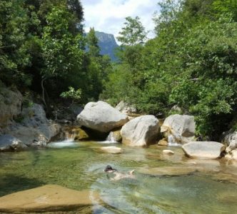 piscina-natural-sadernes