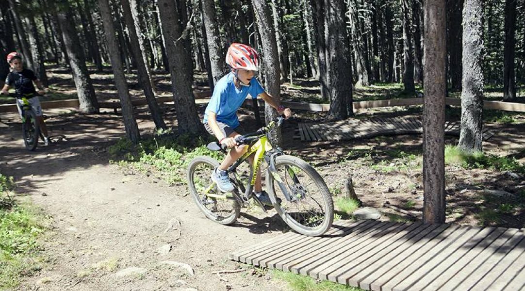 vallnord-bike-park-woodpark