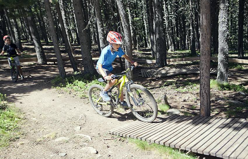 Vallnord Bike Park Woodpark