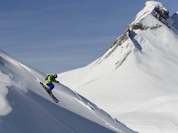 Esquís freeride como elegirlos