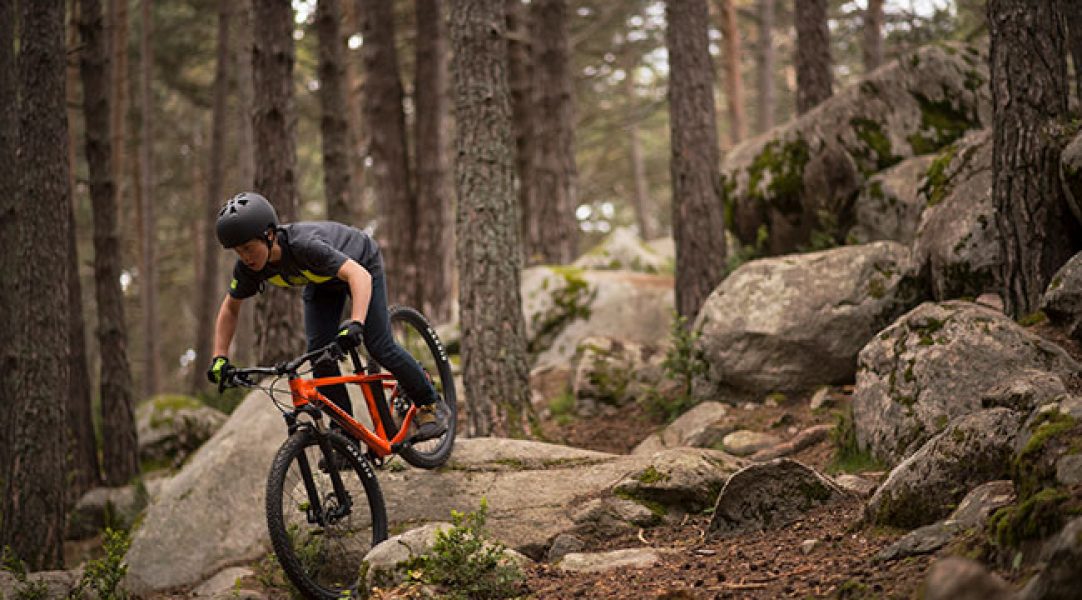 Descenso MTB Bike Park Vallnord