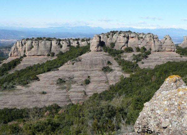 Excursiones con niños cerca de Barcelona - Parque Natural de Sant Llorenç