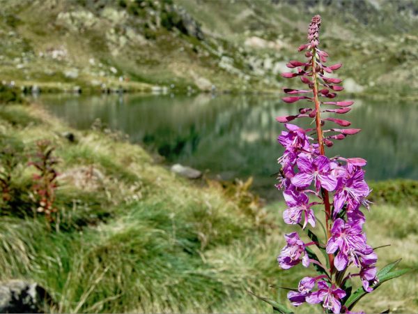 lagos-andorra-excursiones