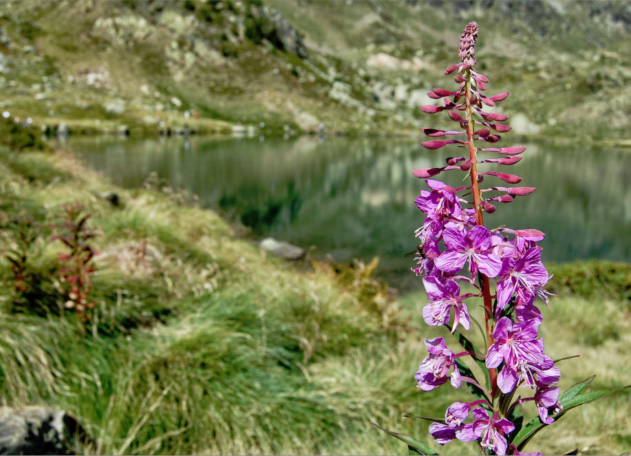 lagos-andorra-excursiones