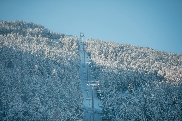 hotel pal arinsal