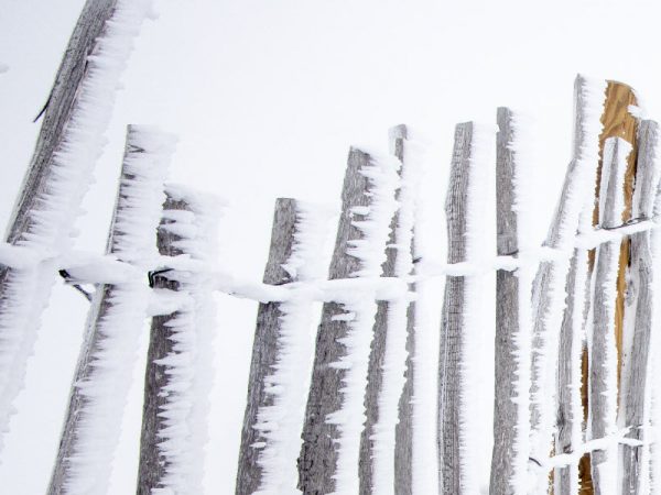 primeras nevadas