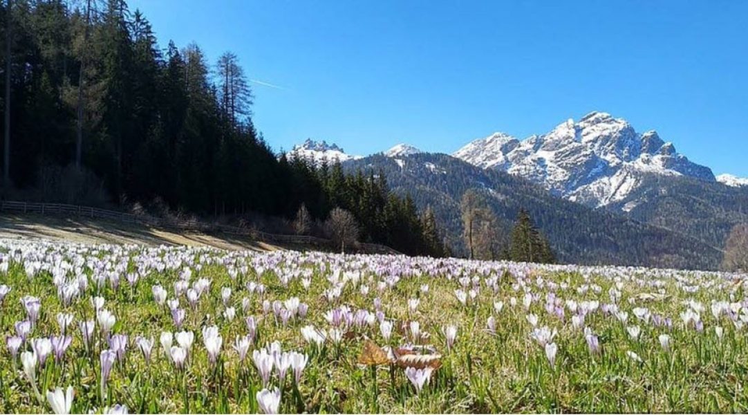 tirol-verano-campo