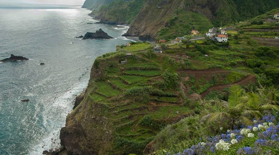 vuelo-hotel-viajar-madeira