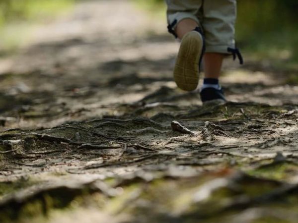 escapadas cerca bcn niños
