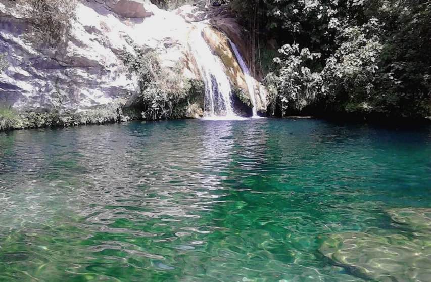 piscina natural Girona