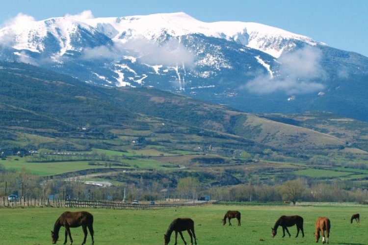 Los mejores lugares en la Cerdanya para ir a la nieve con niños