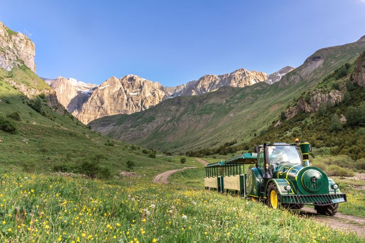 EL TREN DE EL SARRIO