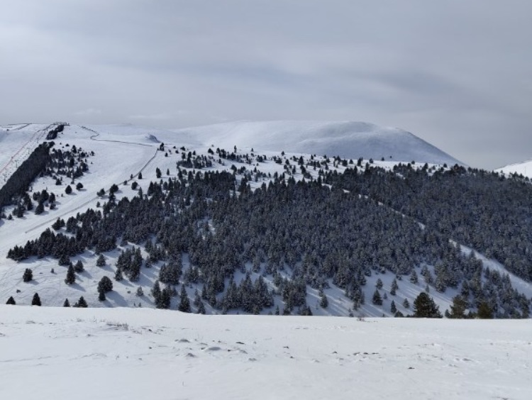 Que hacer en la Molina