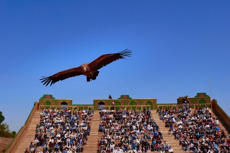 Pase de emoción Puy du Fou