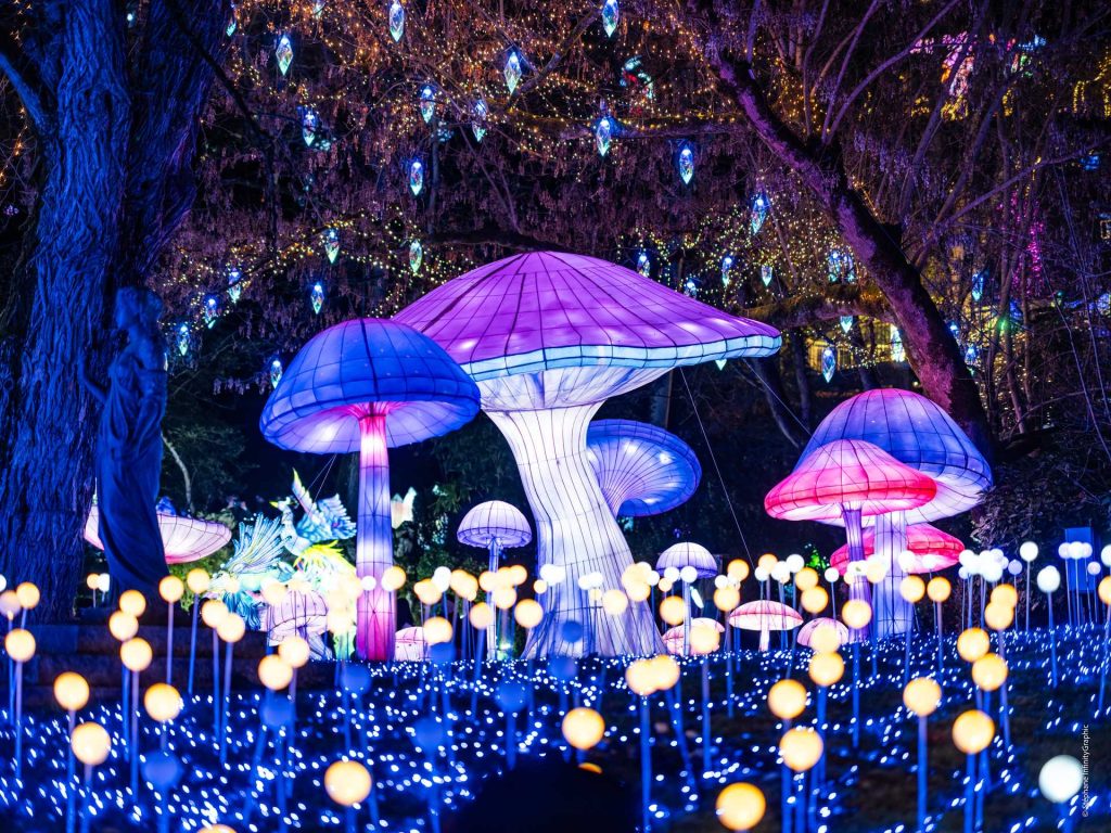 pueblos navidad francia